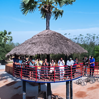 Corporate outing with group activities on tree deck at Go Ranch Resort